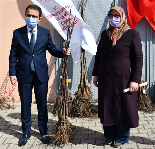 Çiftçilerimize İl Özel İdaremiz Destekli 10.000 Adet Meyve Fidanı Dağıtımı Yapıldı